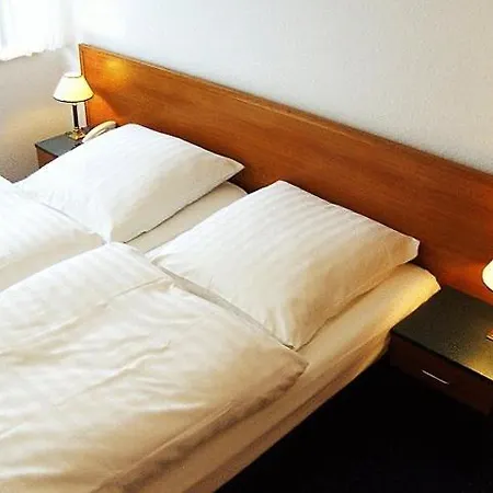 Zur Mühle Hotel 3*